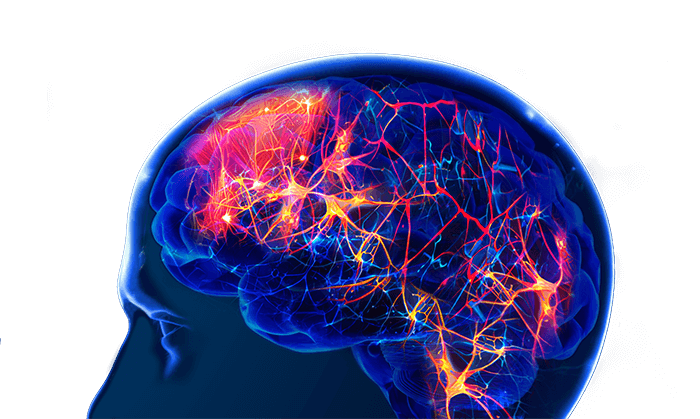 Neuro Body Brain Visual mit neuronaler Aktivität